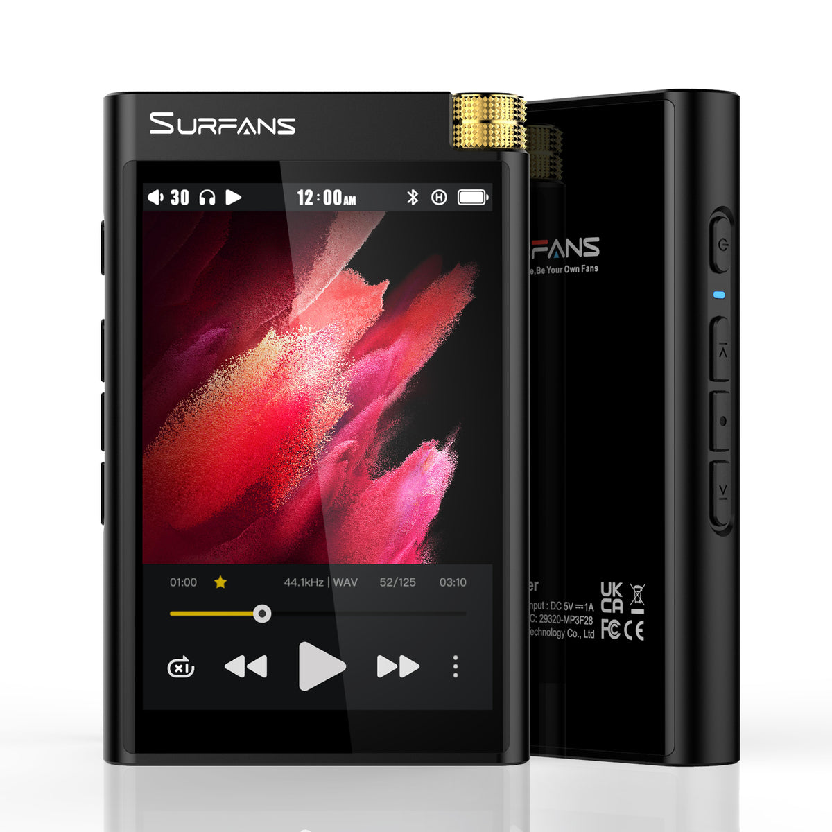 Buy Portable Hifi Mp3 Audio & Music Player with Bluetooth Surfans